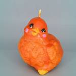 Orange chick