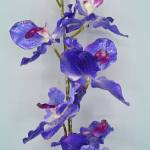 Orchidea 14